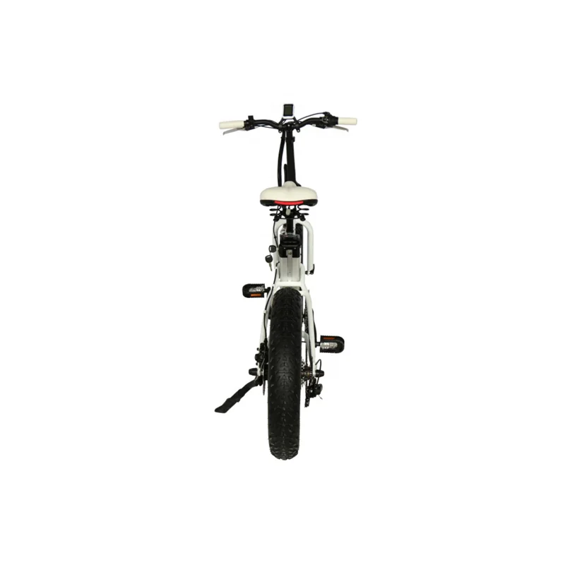 High quality  ebike  electric bike e bicycle with 1000w