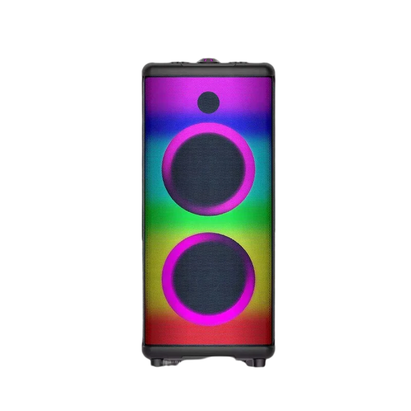 Double 6.5 Inch Karaoke Party Dj Speaker With Display Screen And Two Wireless Mic
