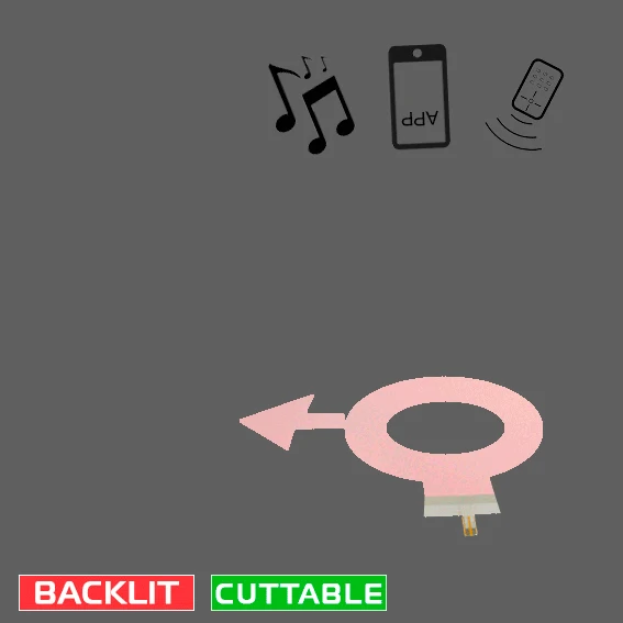 remote control app control music control ultra slim A0A1A2A3 EL poster backlight panel electroluminescent sheet  with low price