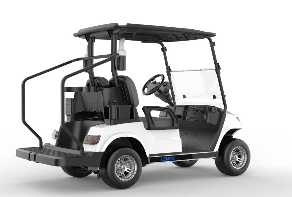 Deluxe 2 Seats Electric Golf Cart Lithium Battery Lead Acid Battery