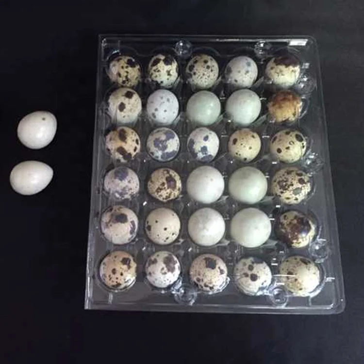 
 wholesale 30 hole blister disposable transparent plastic Quail egg tray  