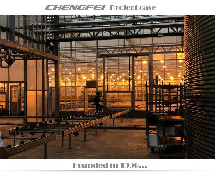 Plant Cultivation Commercial  Blackout Light Dep Multi-span Venlo hemp Blackout Greenhouse For Plants Culti