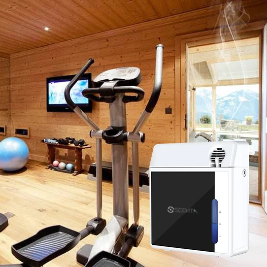 SCENTA Waterless Nebulizer Essential Oil Diffuser,Private Label Electric Aroma Diffuser Supplier From China