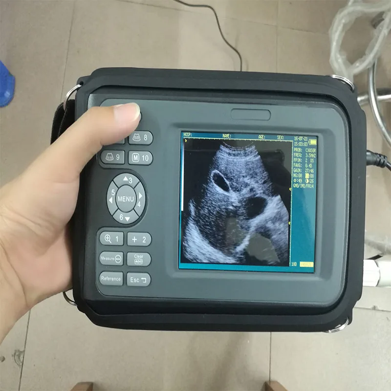 
Cheapest USB 2D Portable veterinary ultrasound machine 