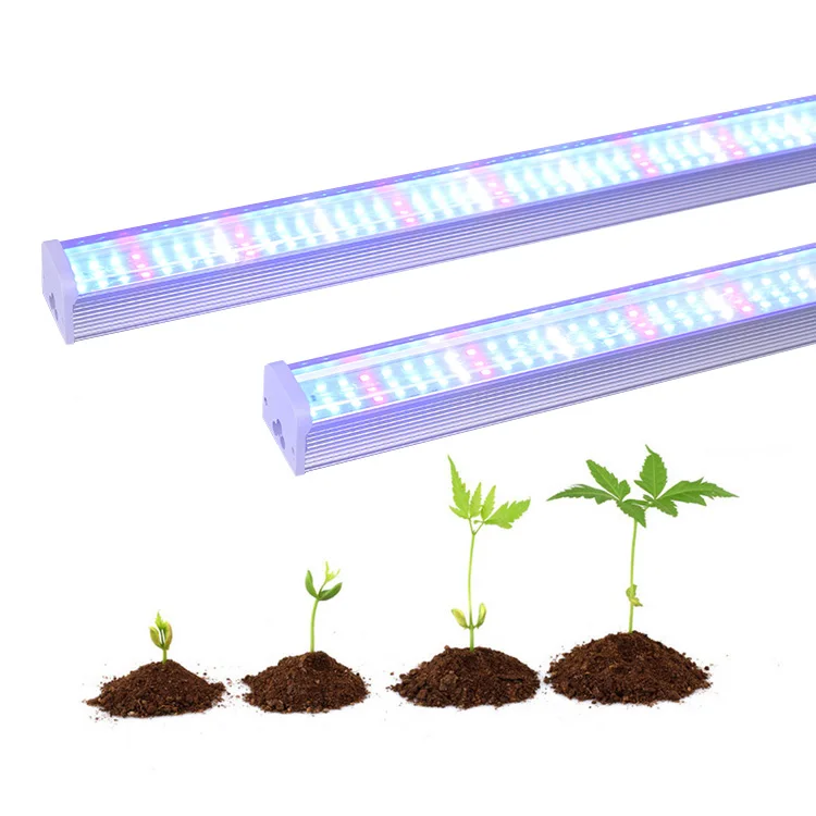 
Chinese Supplier wholesale 1200mm led grow light for dragon fruit full spectrum plant tissue culture led grow light 