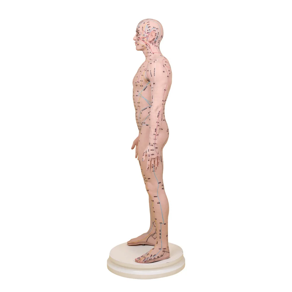 80CM High Quality Soft Silicone Acupuncture Training Model