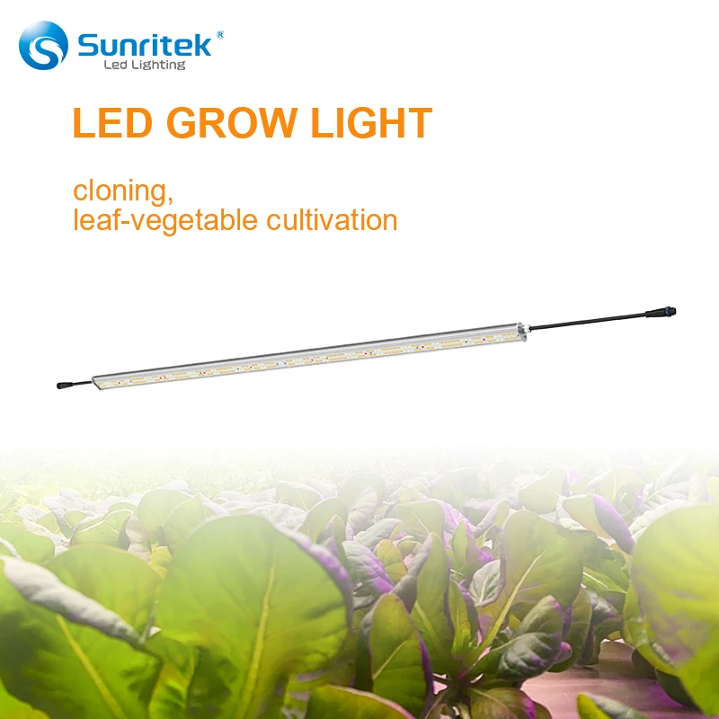 Grass/green/Bush manufacturer high efficiency hydroponic plant grow light