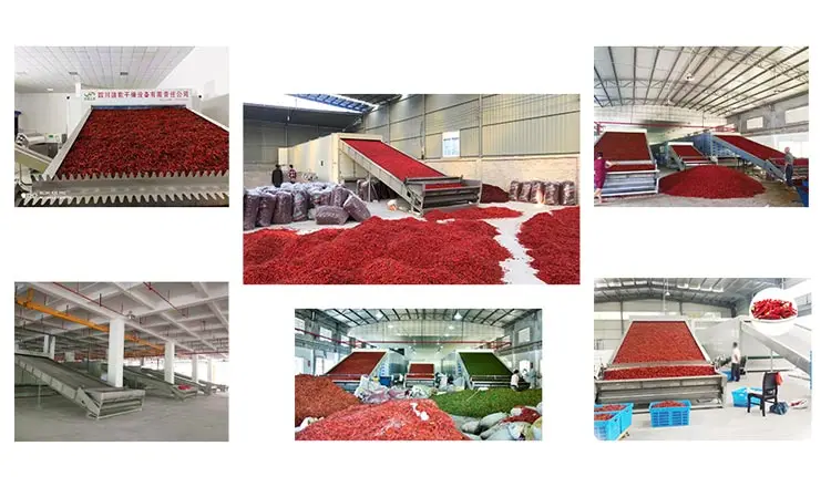 chili dryer.jpg