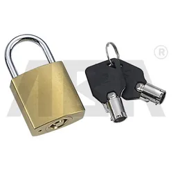 Factory Direct Sale Outdoor Sample Available Cheap Price Safety Pad Lock