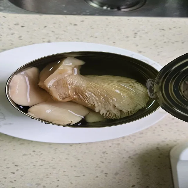 OEM China New product Factory price Canned Bailing Mushroom with top quality