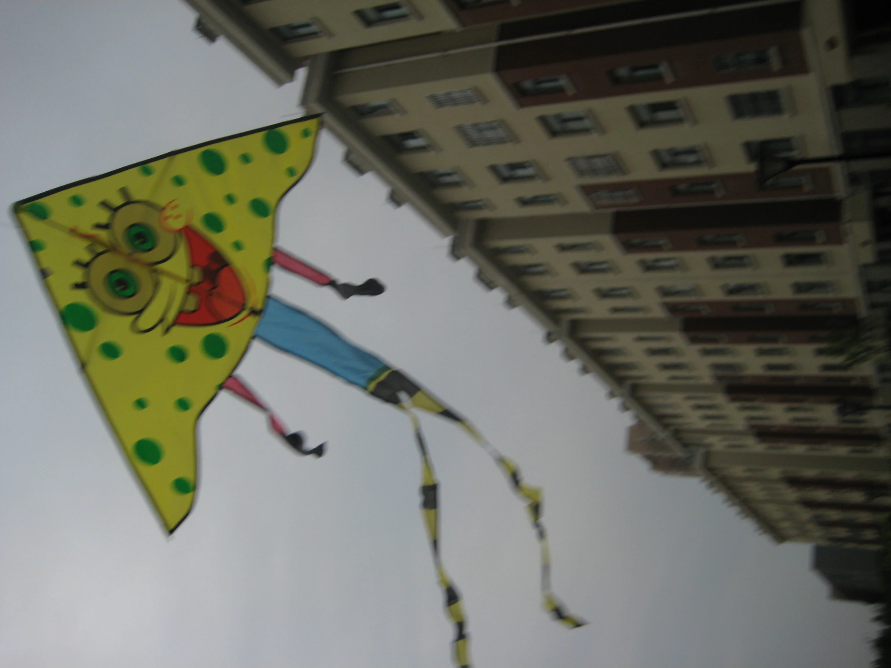 High Quality Cartoon Kite Customized Color For Fun