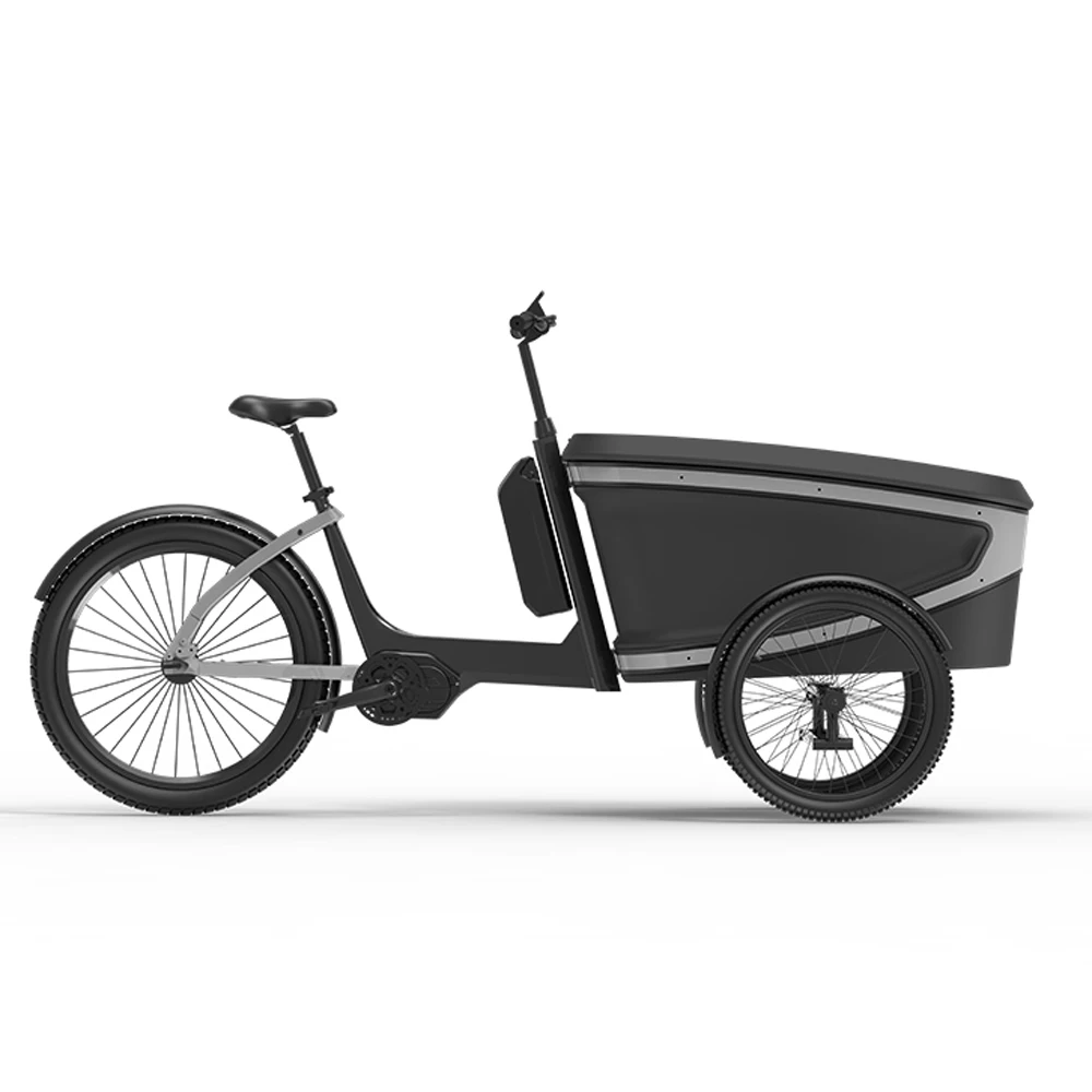 Electric bike 3 wheels cargo for bike  EU standard ebike e-cargo EPP box electric cargo bike frame for family carry kids