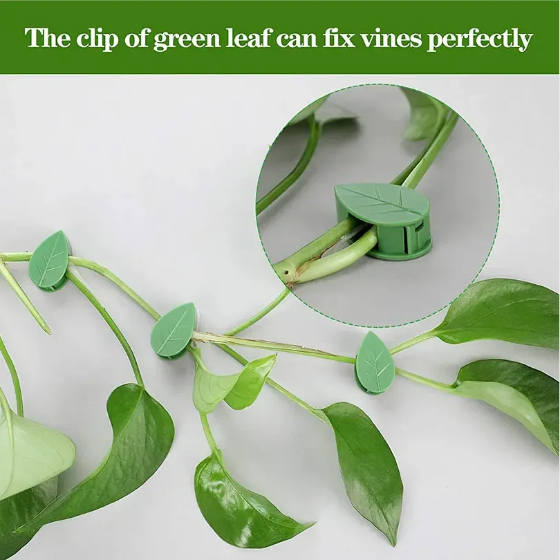 Plant Climbing Artifacts Fixing Clip Leaf Shape Self-Adhesive Garden Hook Support Climbing Plants Tracele