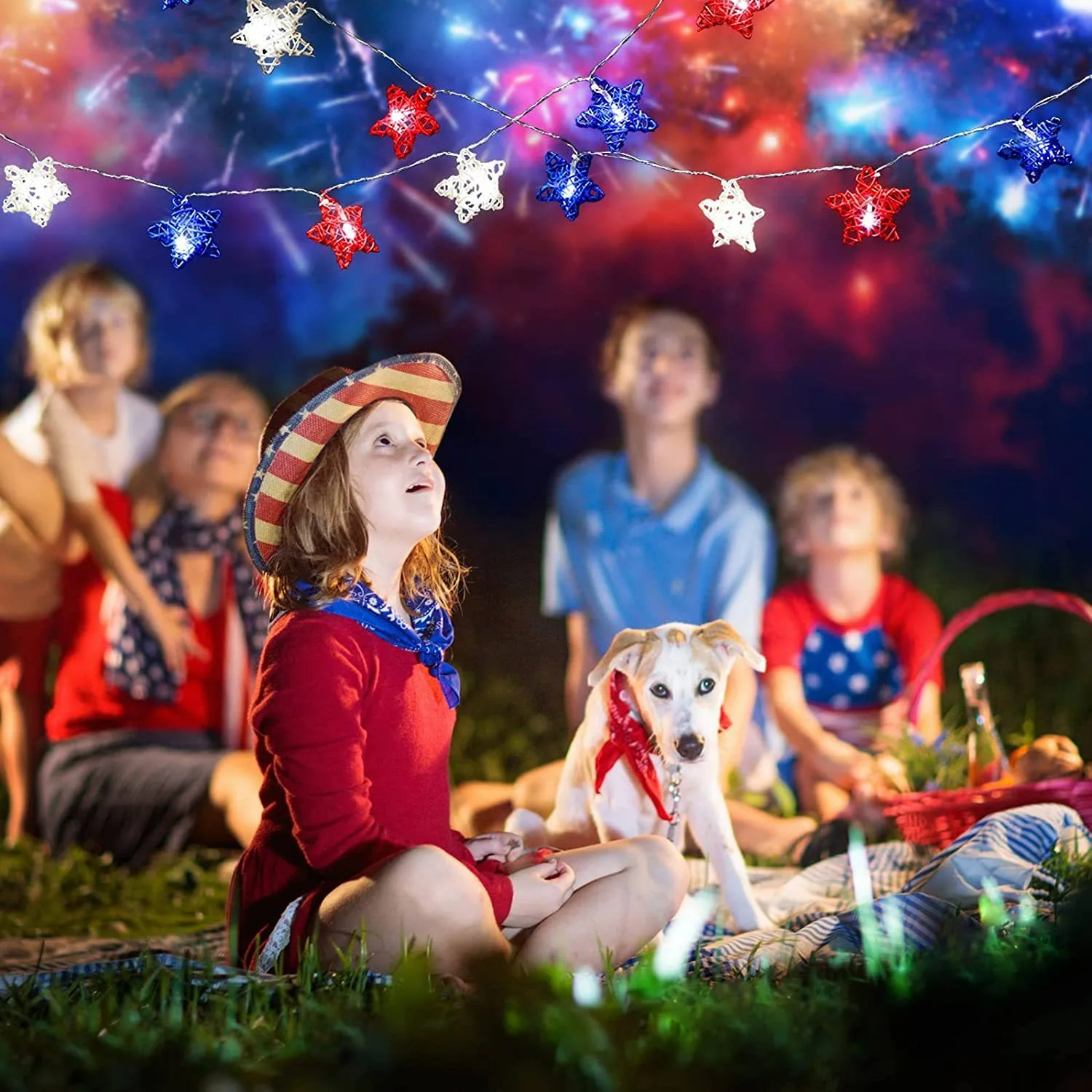 rattan wire Star String Light Independence Day Decoration Waterproof Battery Red White Blue holiday lighting decor