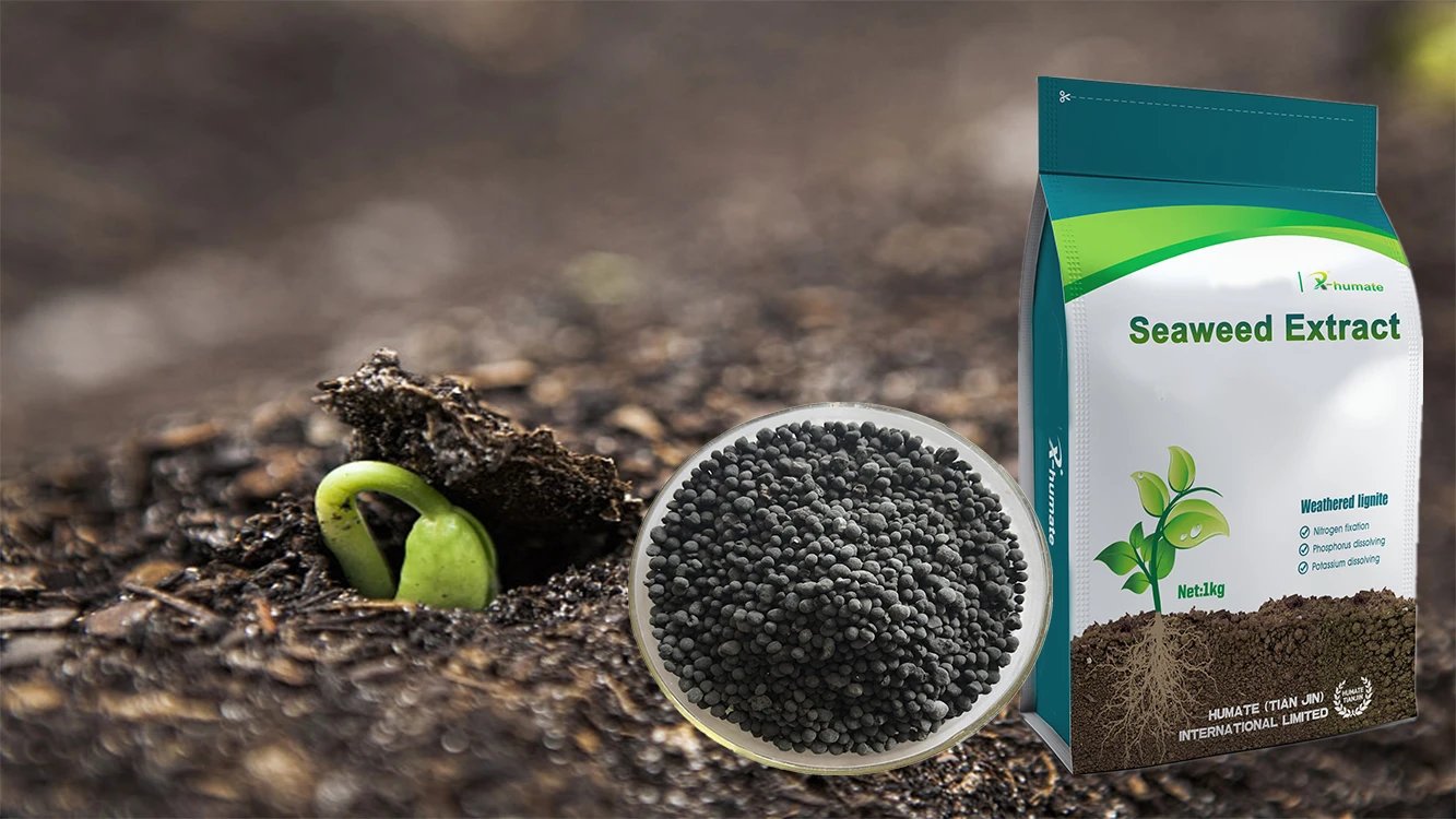 Seaweed Extract Granular 1.jpg