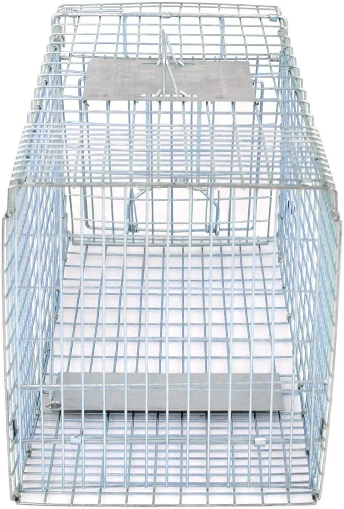 Catch and Release Humane Rodent Cage Medium Live Animal Trap Cage Squirrel Stray Cat Catcher