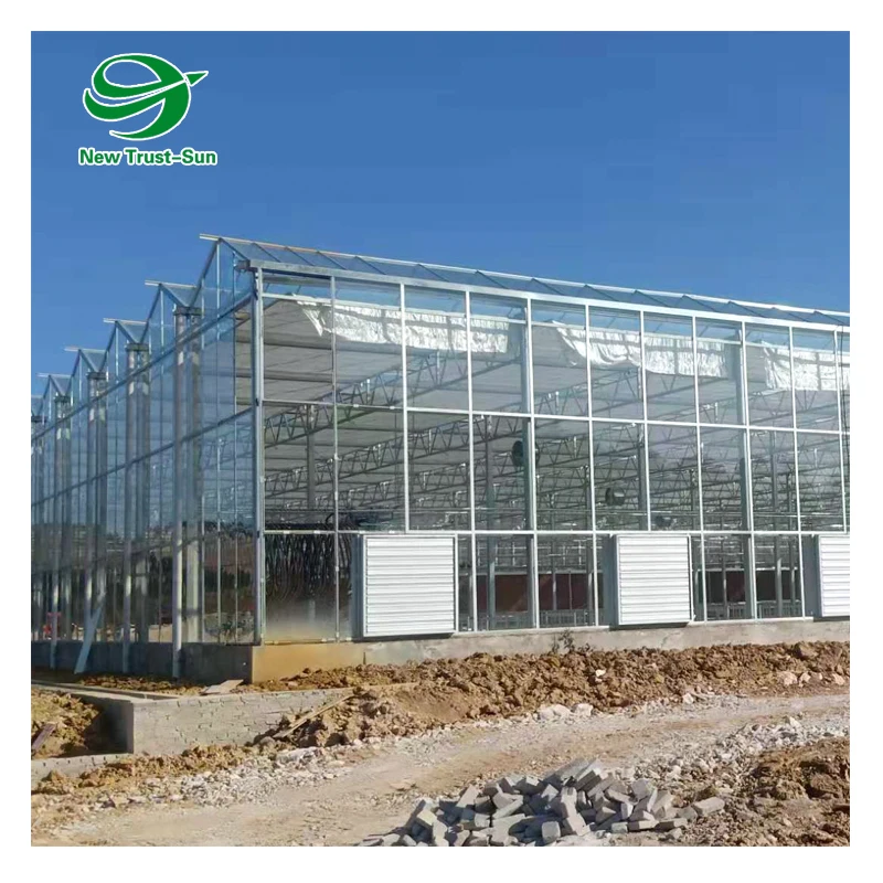 
custom size agricultural grow hydroponics system tomato glass greenhouse 