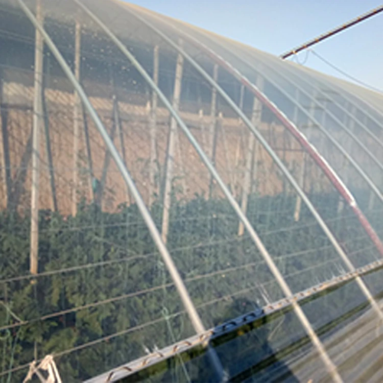Best Selling Pe Film For Greenhouse For Film Greenhouse