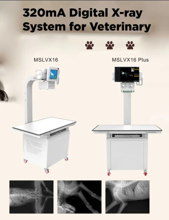 NEW digital x ray machine vet animal 20KW 320ma 30KW 400ma fix type 120kV generator tube