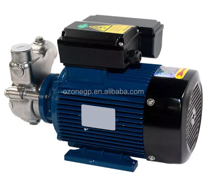 Jet Model 1~12T/hr Nano Bubble Water Generator Centrifugal Pump for Oxygen Ozone Gas-Liquid Mixing for Sewage Circulation