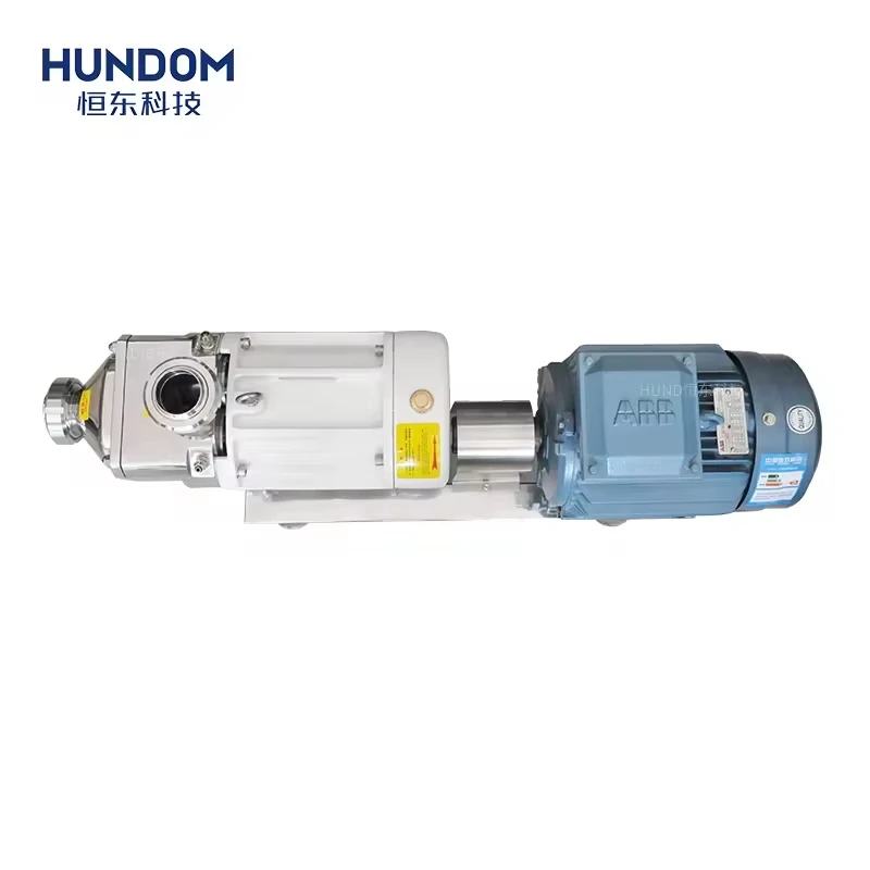 Factory Direct Sale High Viscosity Paste Sanitary Stainless Steel Transfer Pump Thick Syrup Twin Screw Pump