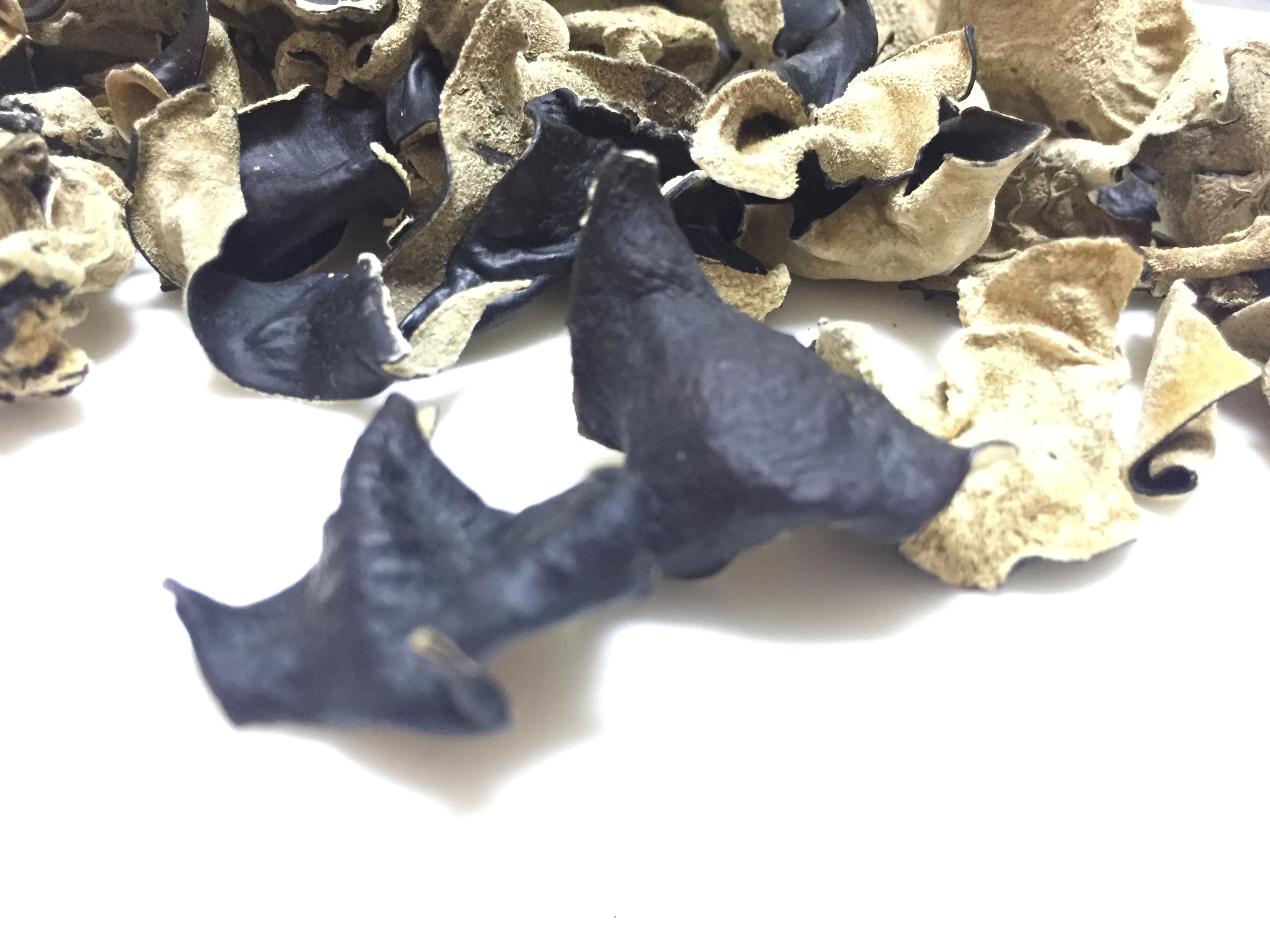 Factory Price Premium Quality Washed Dry Black Fungus Mushroom and White Back Fungus (Within 5 CM )