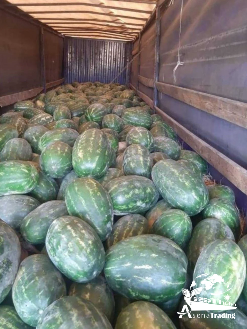 The most popular wholesale Premium Quality Box Packaging Great Fresh Sweet Juicy Natural Fresh Watermelon