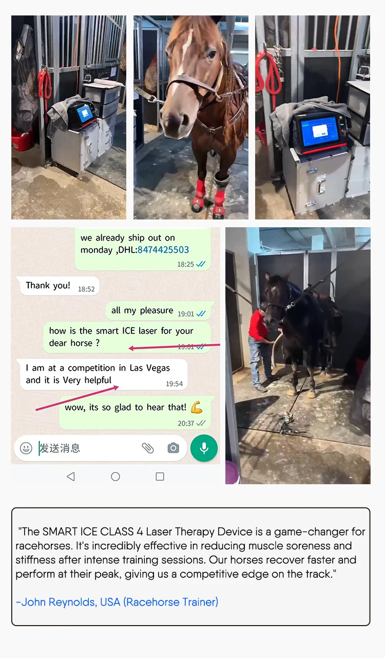 Class 4 laser therapy system of veterinary use therapy laser for horse 810nm 980nm 1064nm high power laser therapy machine