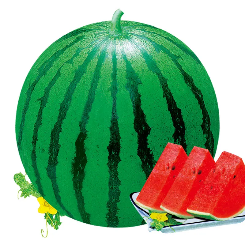 
Chinese sweet fruit round watermelon seed for planting 