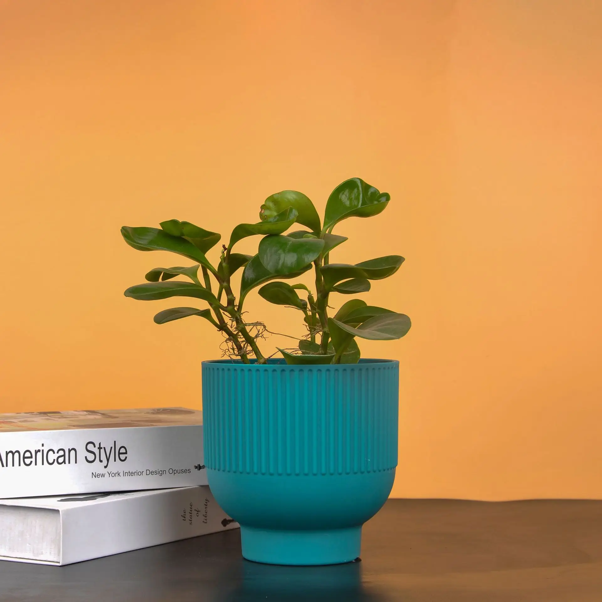 Hot sale Nordic simple striped high footed ceramic flowerpot modern garden plant potted succulent desktop home flower pot