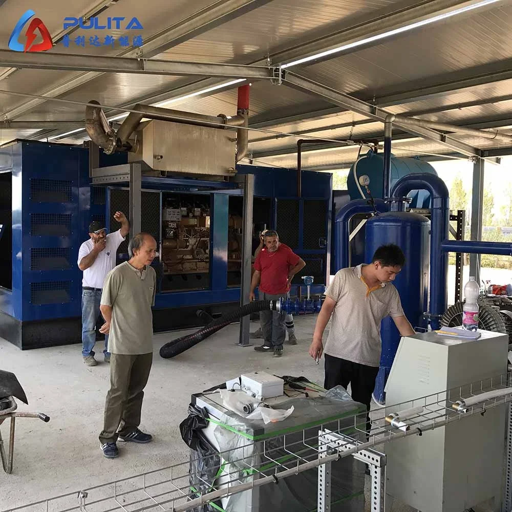 10MW rice husk gasifier electric generator Waste biomass Gasification Power plant wood chips gas plant