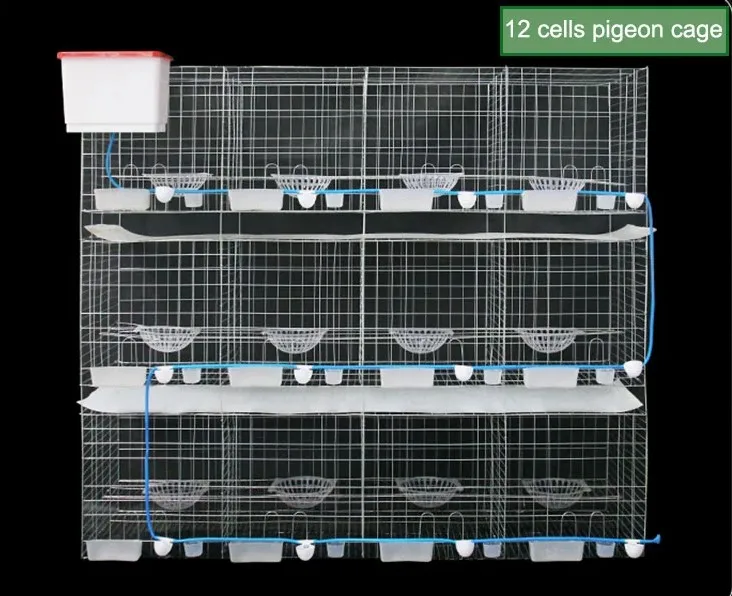 chicken cage design pigeon coops pigeon breeding cage