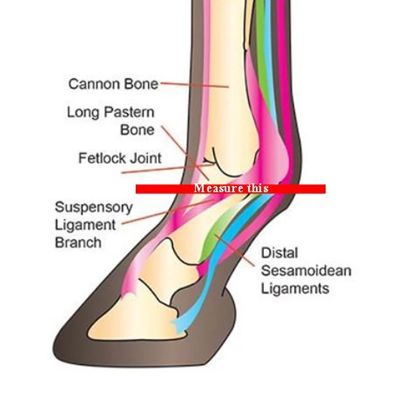Dura mesh Horse  Leg  guard Wraps Mesh Fitted fly bye rugged Leggins Horse  fly Boots