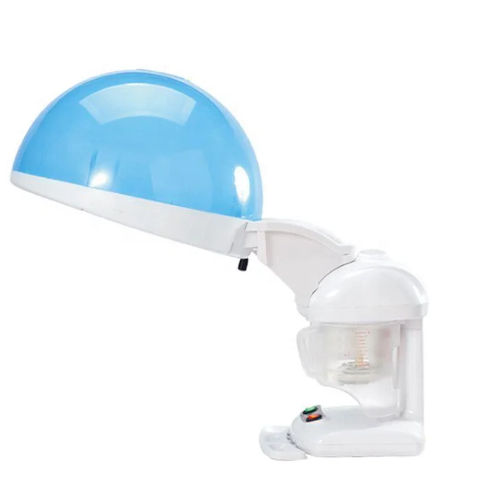 SY-FS100H 2 in 1 Family Use Hair Steamer and Facial Steamer Nano Mist