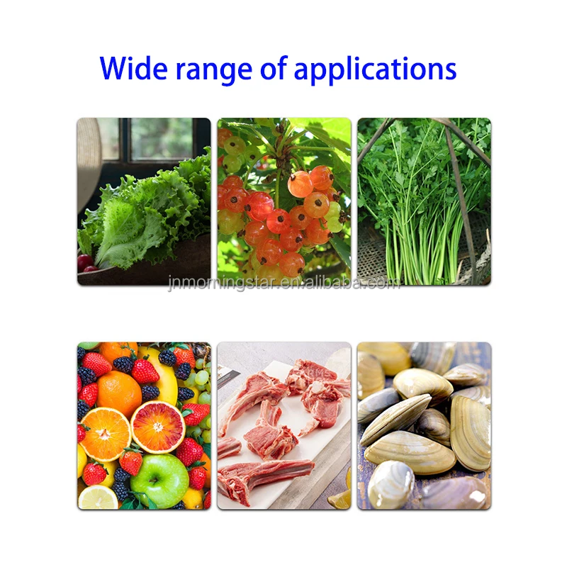 Automatic Olive Kiwi Fruit Vegetable Air Bubble Washer Spinach Peanut Garlic Cleaner Coconut spray bubble rinse Washing Machine