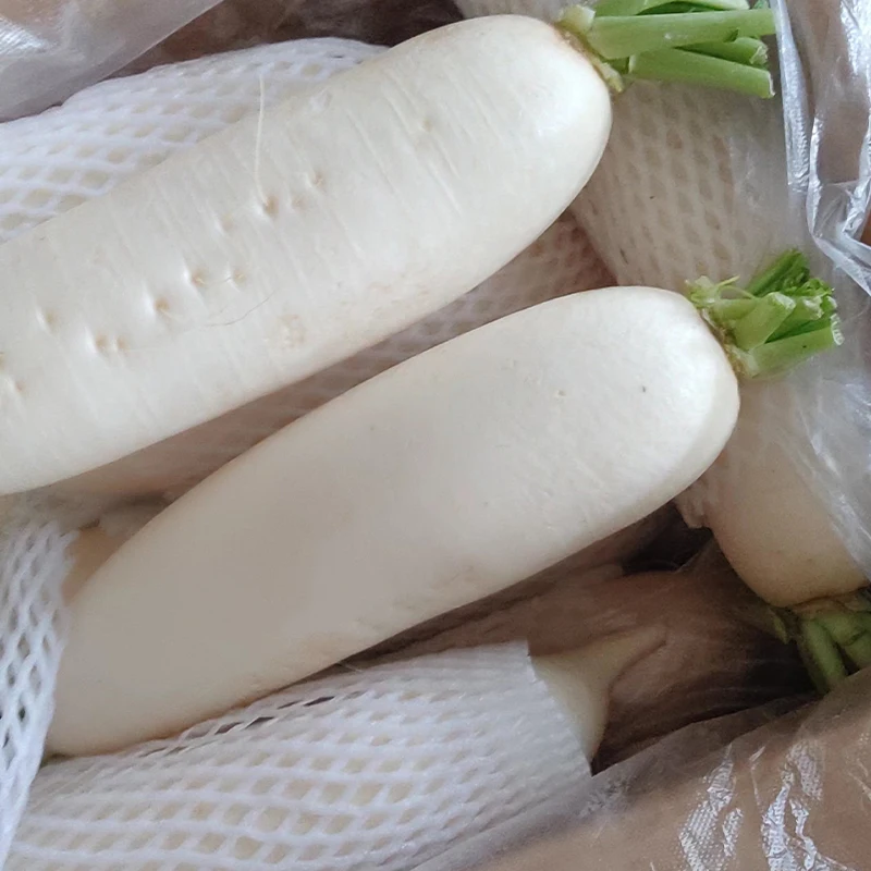 Chinese fresh white radish
