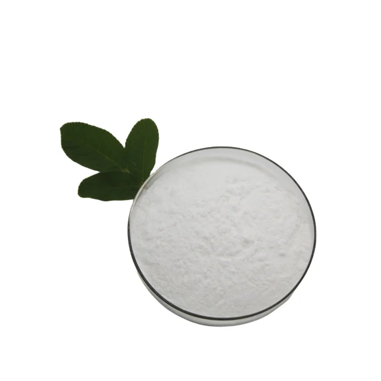 Lactobacillus fermentum food ingredients from China  freeze-dried probiotics powder original manufacturer