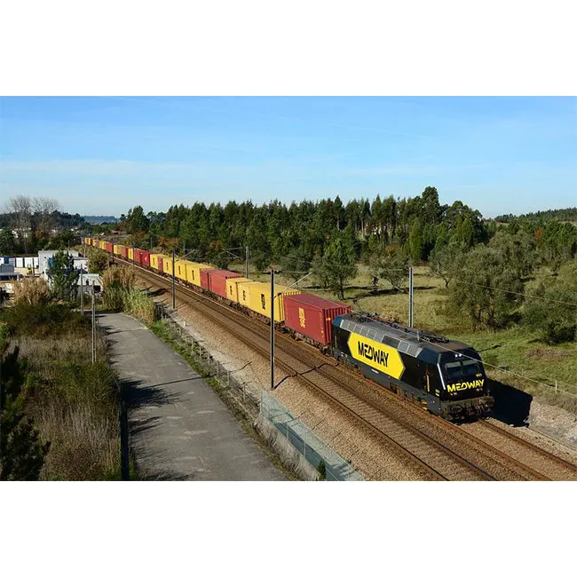 Global Door To Door Train Freight China Freight Forwarder DHL FEDEX UPS Express Delivery To Germany