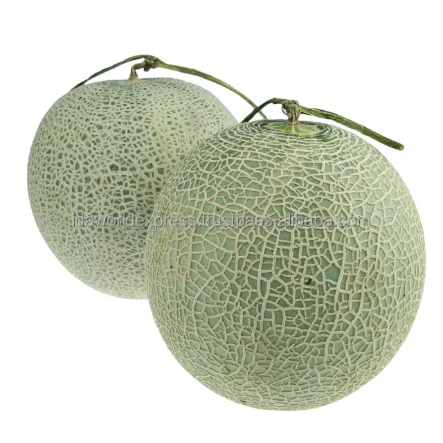 Дыня свежие дыни из фермы сладкий вкус воды Mellon лучшая Органическая свежая