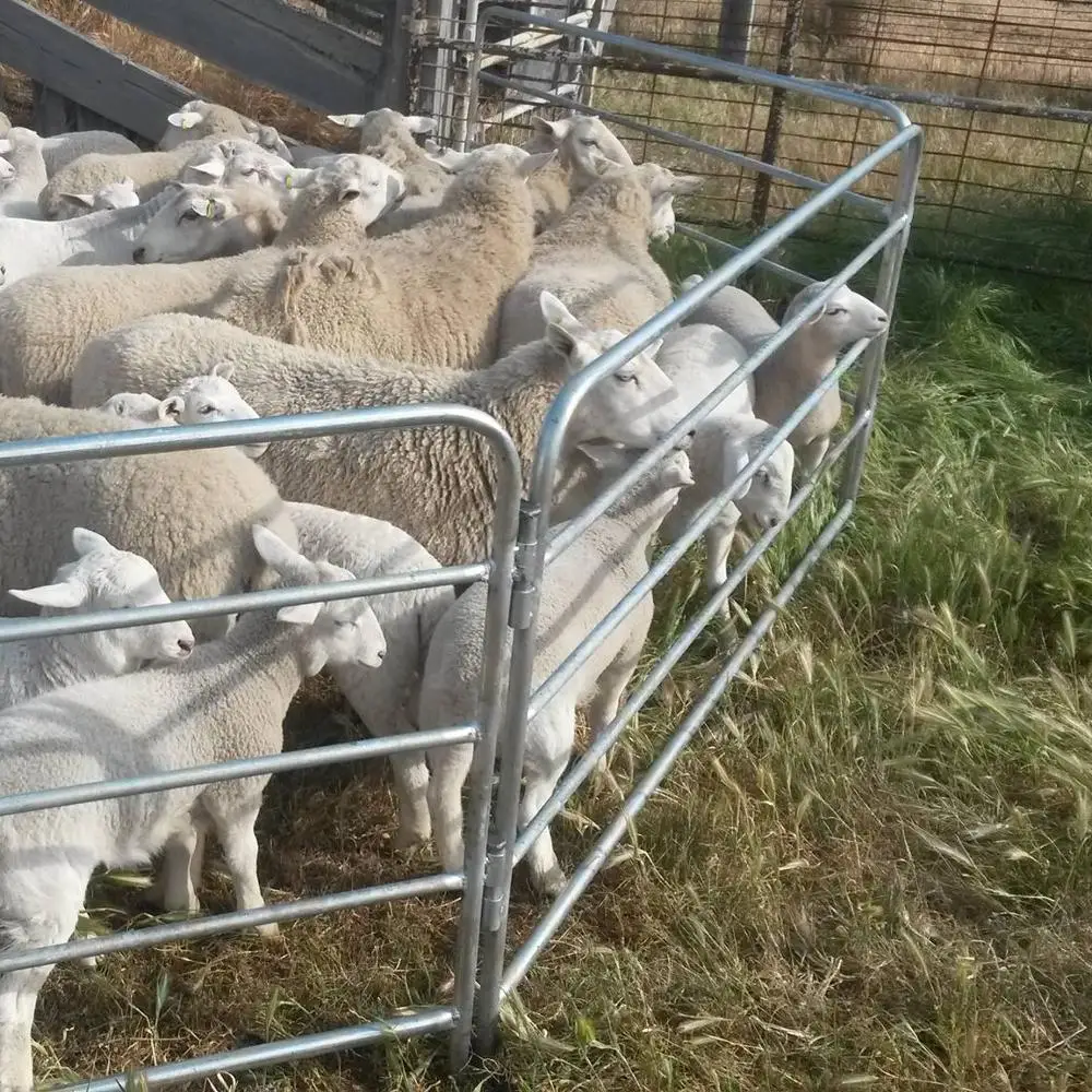 6 направляющих дешевая фермерская ограда стальные овцы и бар рельсы для крупного рогатого скота 1 8 м Высокие ворота козьи панели продажи