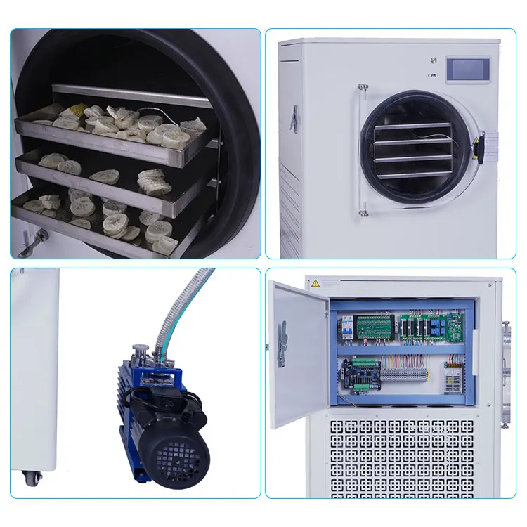 Conveyor Belt Vaccum Pumps Laboratory Lyophilizer Vacuum Stainless Steel Pan Commercial Freeze Dryer