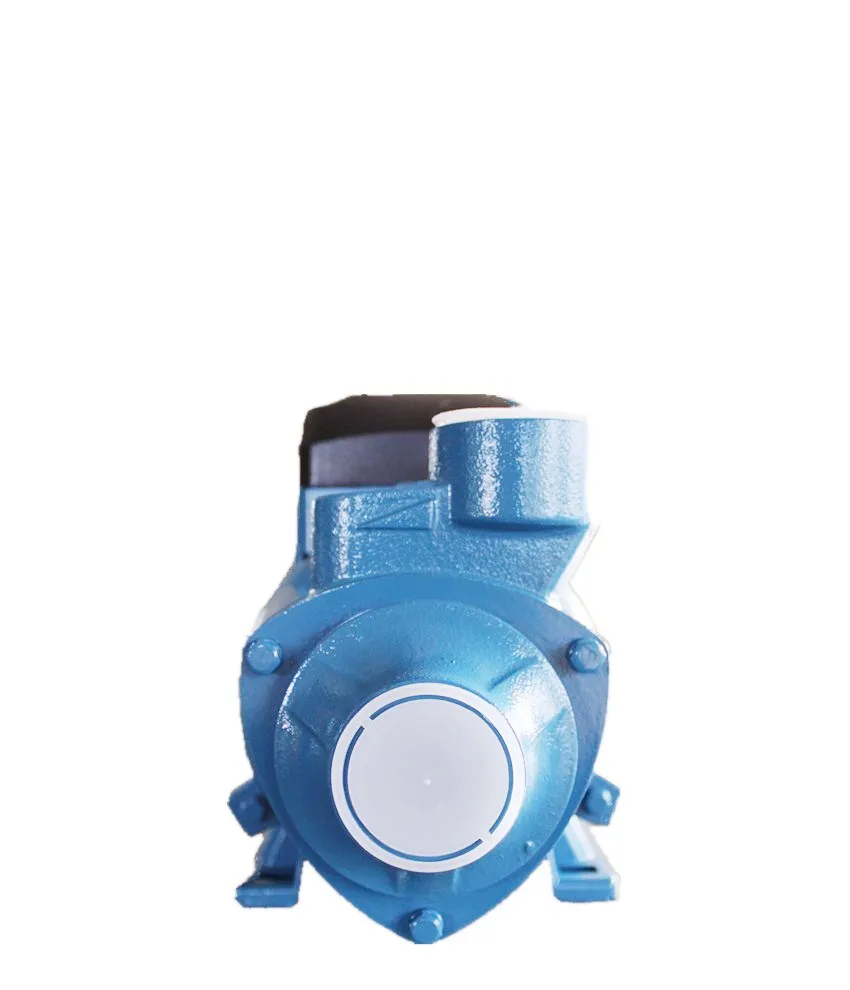 Low Pressure Single-stage 1Hp Peripheral Vortex Submersible Water Pump