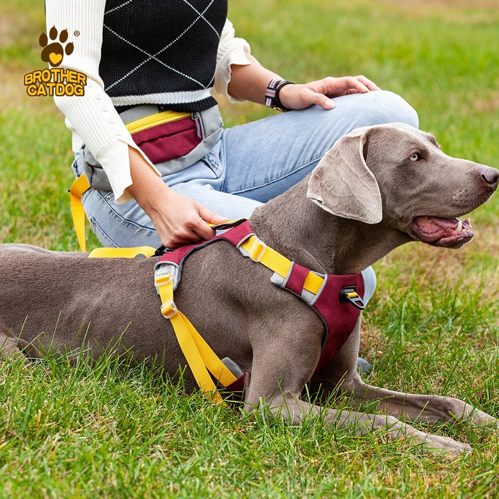 2023 Manufacturers Hot Models Dog Chest Straps Multi-point Adjustable Large Dog Explosion-proof Punching Chest Straps DOT CN;GUA