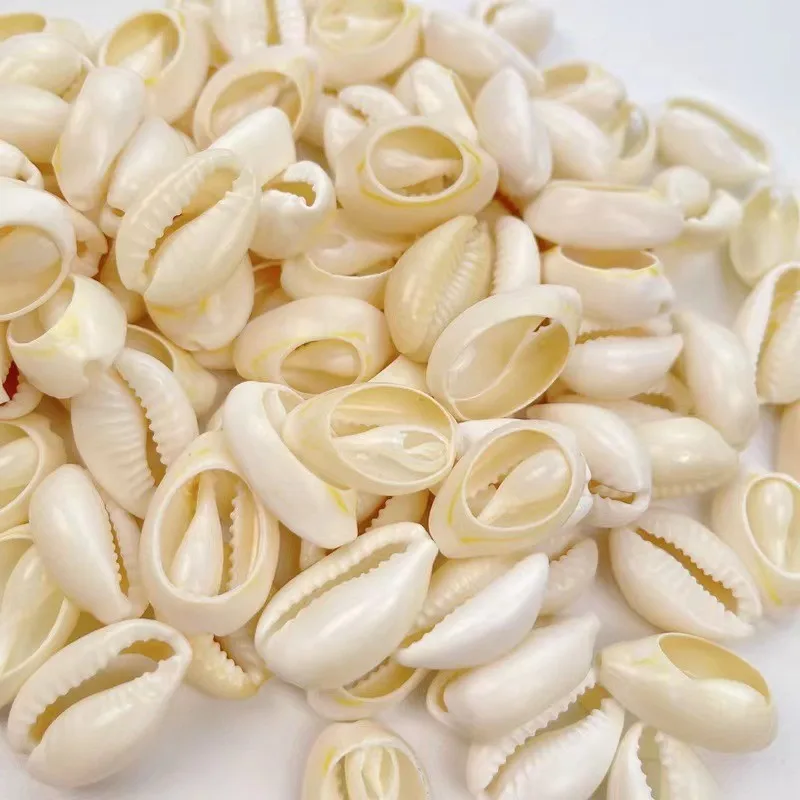 100pcs Natural Shell 16-18mm White Shell Bead Jewelry Making Cowboy Charm Bead DIY Necklace Bracelet Accessories