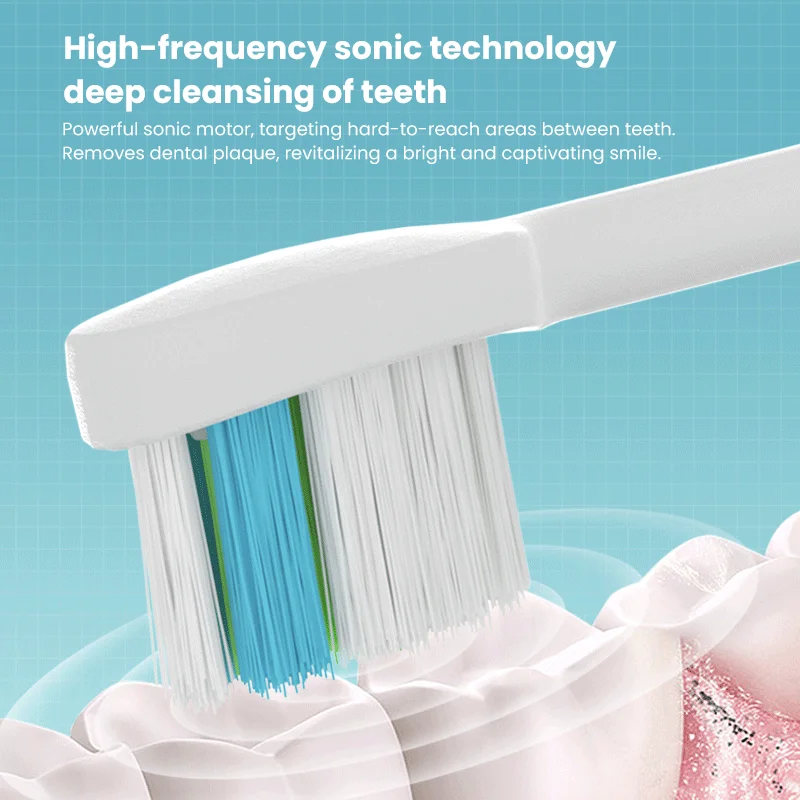 Rechargeable DuPont brush  Brosse a dents electrique electric toothbrush