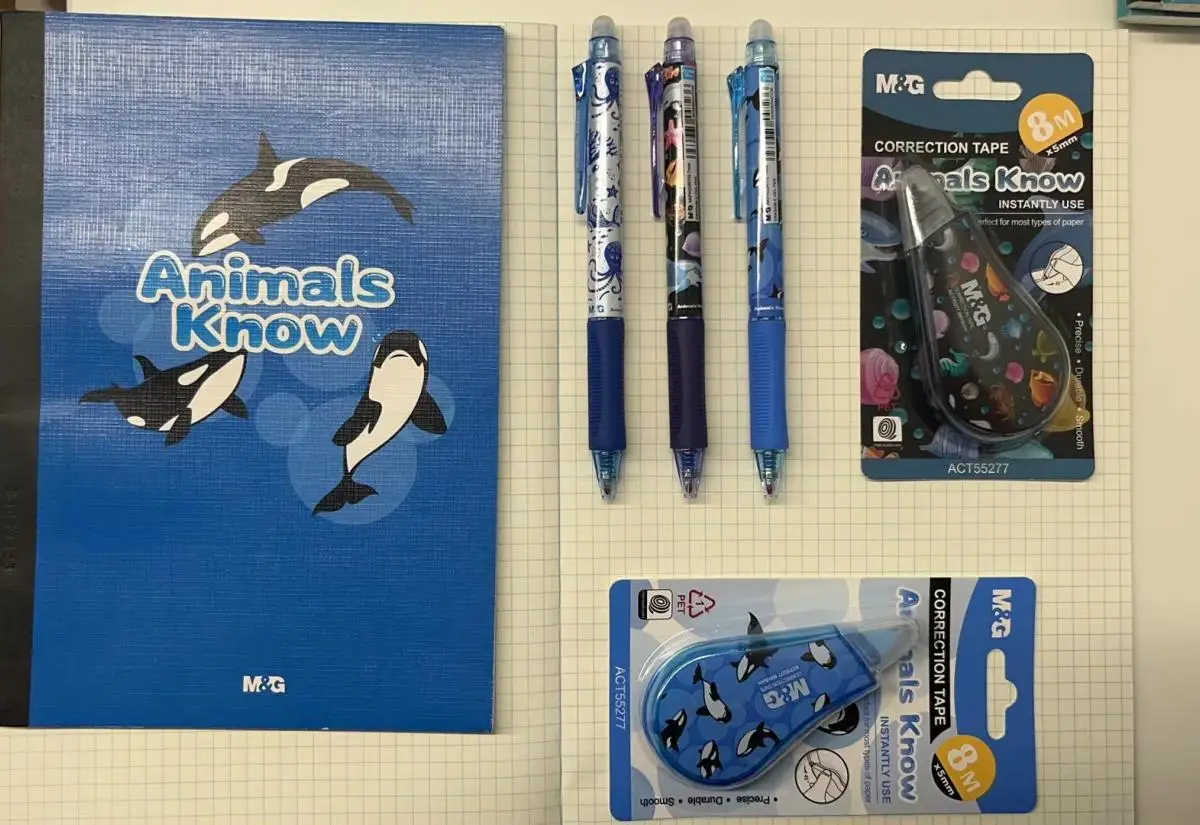 M&G Stationary Wholesale Price Comfortable Grip Dry Erase Friction Heat Erasable Ink Gel Ball Pens with Eraser