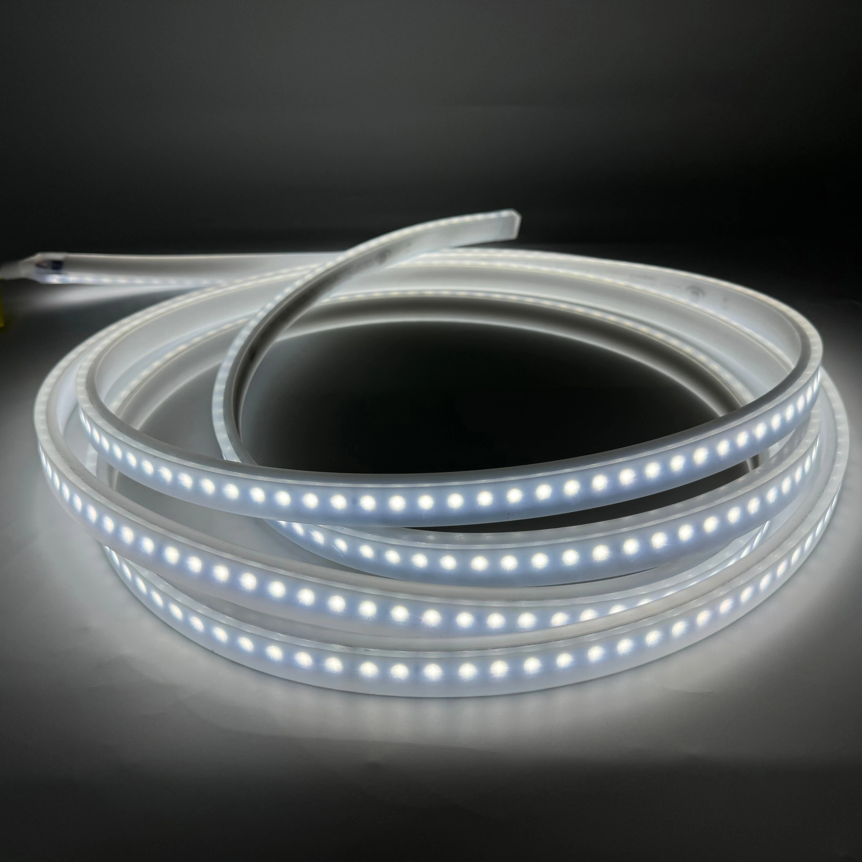 IP67 Explosion-proof LED Flexible Strip Light with ATEX IECEX Certified for Tunnels, Oil and Gas Refineries Lighting
