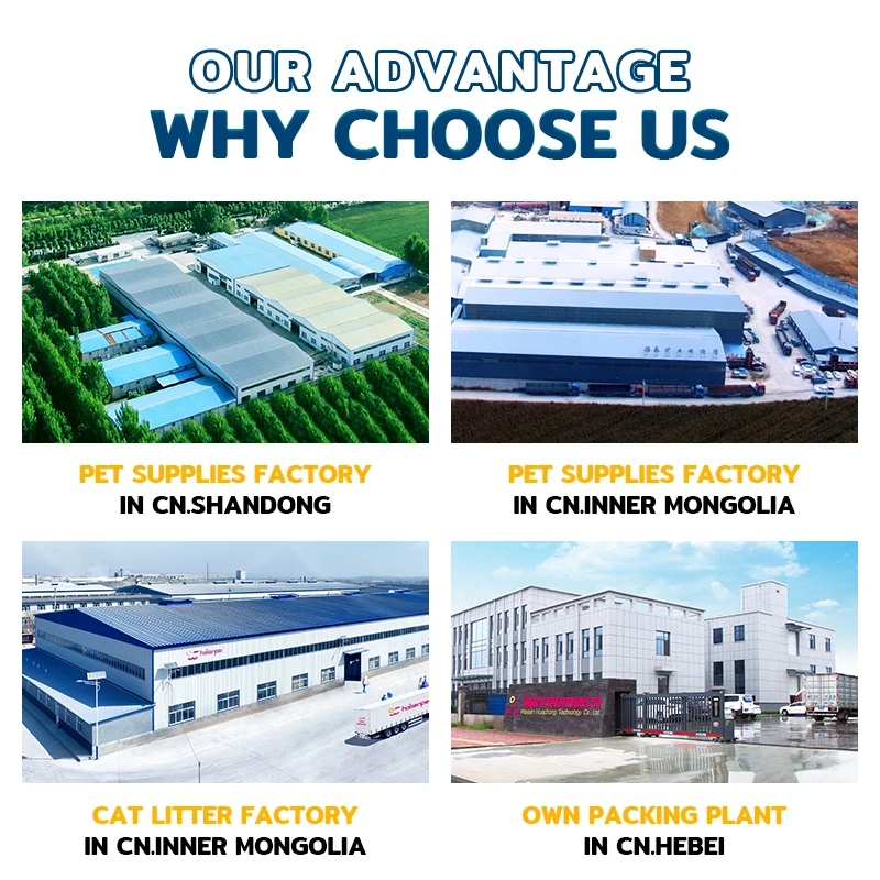 Haisen Pet Wet Wipes Cleaning Effectively Safe Pet Eye Wet Wipes  Eye Hair Ear Cleaner