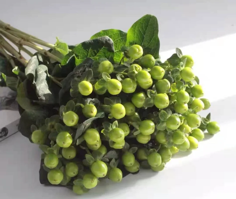 fresh cutting flowers hypericum by Yunnan flower fields directly