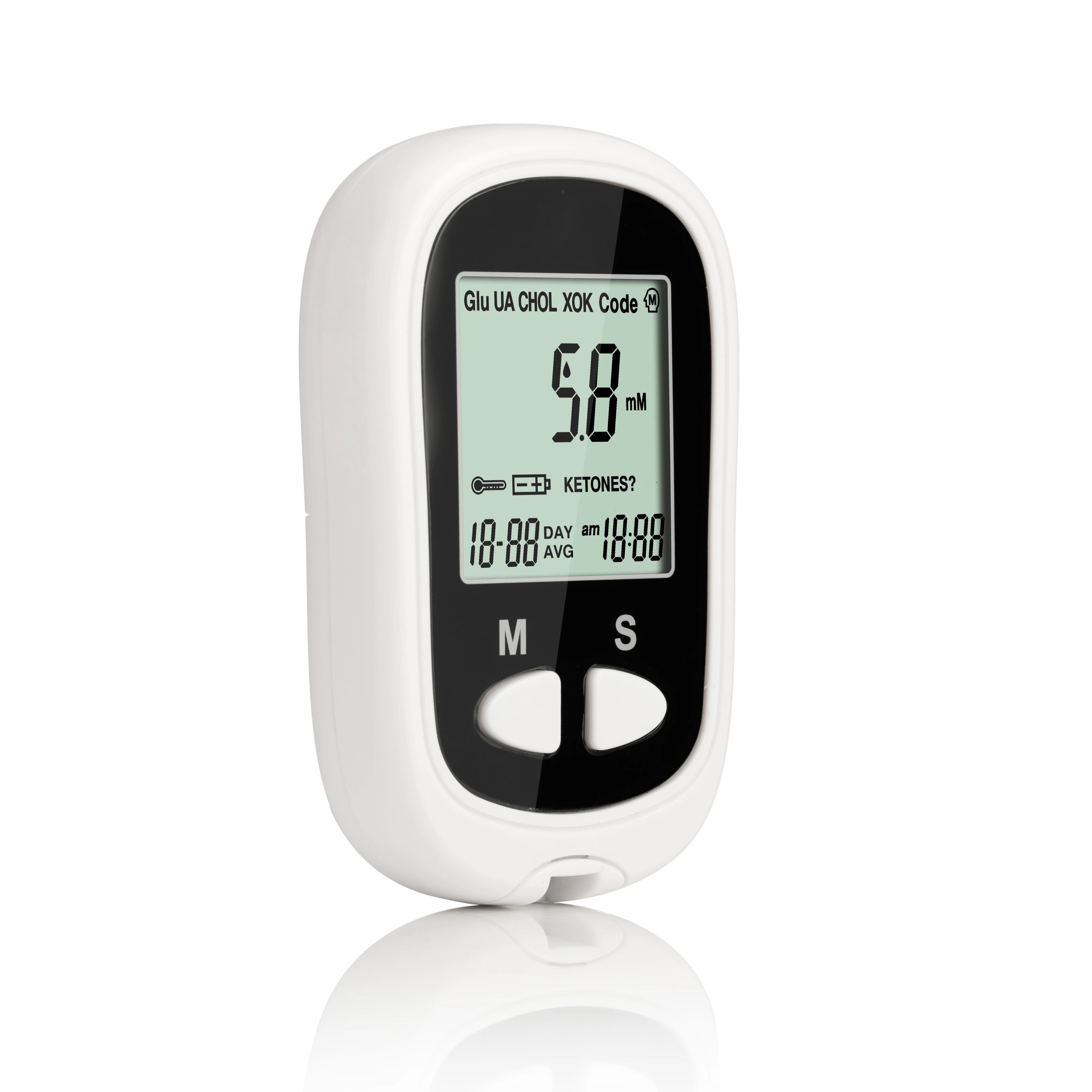 Display screen blood glucose monitor with blood glucose test strip